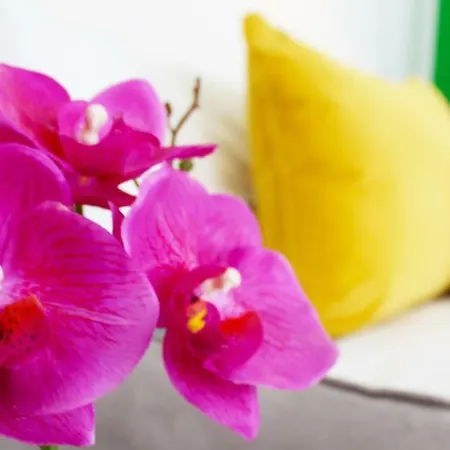 Sa Domu De Ajaja Apartamento Cagliari