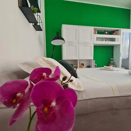 Sa Domu De Ajaja Apartment *